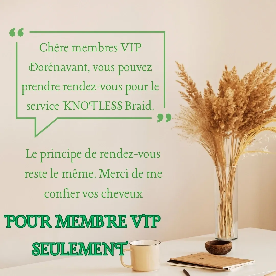 Knotless & Boho Braids (VIP seulement)