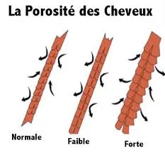 Soins des cheveux en fonction de leur niveau de porosité.